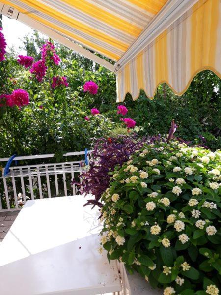 Apartments Mirela Млини Экстерьер фото